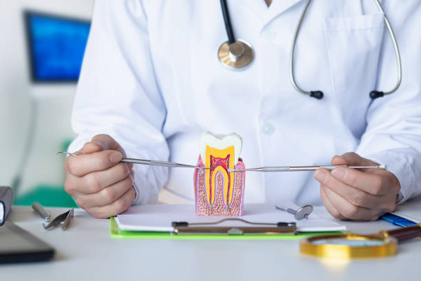 Best Root Canal Emergency Dentist  in Spencer, IA